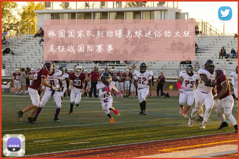 韩国国家队别称曝光球迷俗称太极虎征战国际赛事