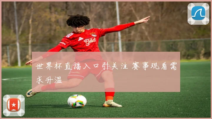 世界杯直播入口引关注 赛事观看需求升温