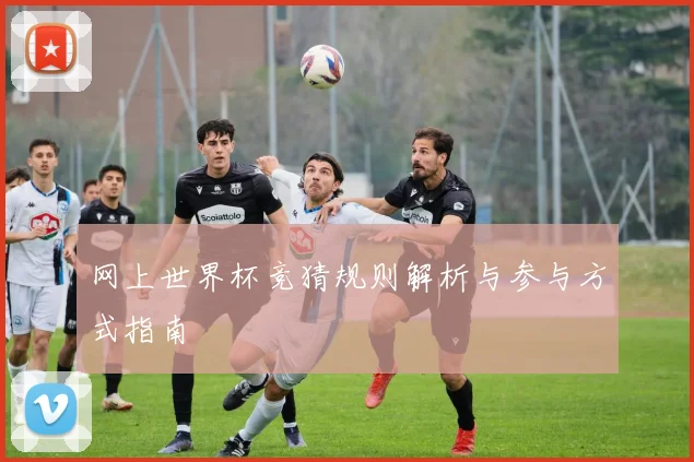 网上世界杯竞猜规则解析与参与方式指南