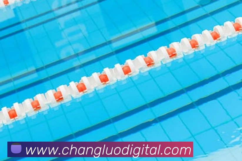 足球世界杯官网中文版平台生态图