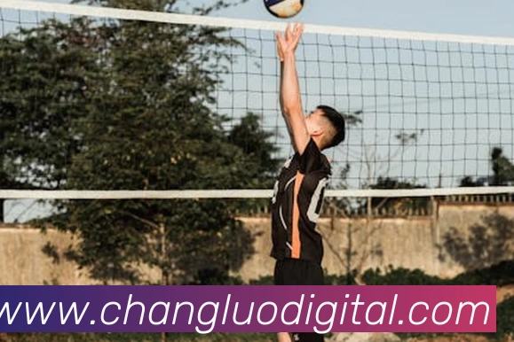 辅助工具 辅助工具